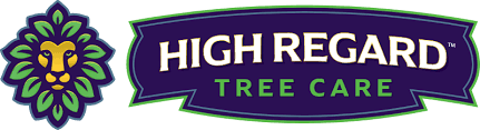 High Regard Tree Care photo